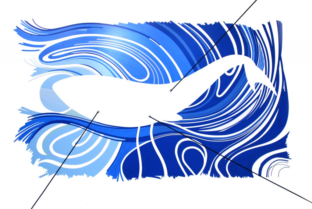 whale-clean