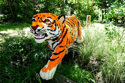 _Julie Larsen Maher 2693 Lego Great Summer Safari BZ 07 05 11